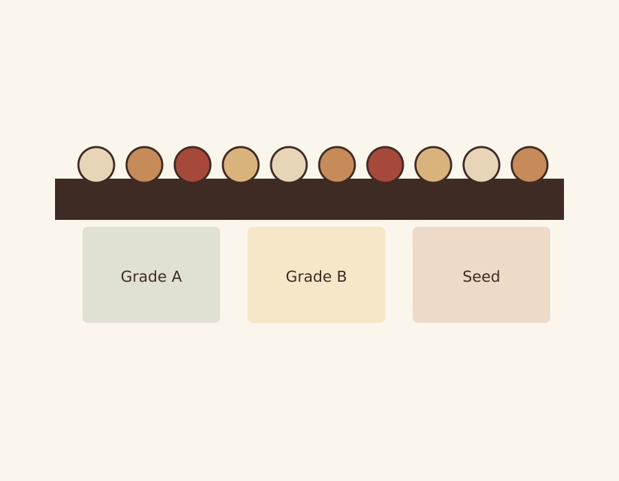 Grading and sorting line